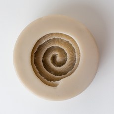 AngleThing 羊毛玫瑰對象矽膠模具, 單色