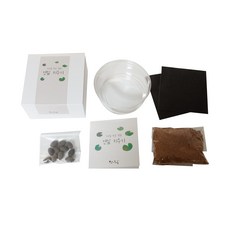 연잎 키우기 키트, 연꽃