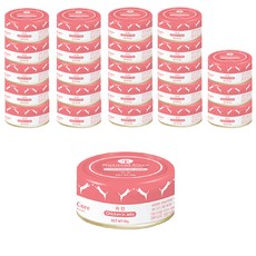 네츄럴코어 고양이 간식 캔, 치킨, 95g, 24개