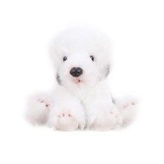 Mingle'R 動物幼崽附件娃娃牧羊犬, 混色