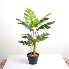몬스테라 인조나무 85cm + 원예용 리얼스톤 세트, 혼합색상, 1세트