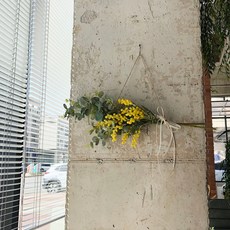 含羞草尤加利葉人造花花環花環, 混色