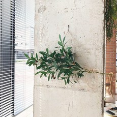 豐盛的橄欖枝人造花環, 混色