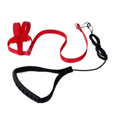 리젠스 앵무새 조류 훈련 하네스 줄 세트 L, 빨강, 1세트