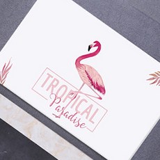 漂亮矽藻土地墊設計, 紅鶴