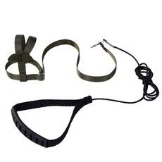 리젠스 앵무새 조류 훈련 하네스 줄 세트 L, 녹색, 1세트