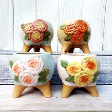 多肉植物盆栽 國民玫瑰 4件組, 混合顏色, 1個