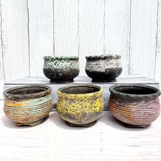 多肉植物花盆 人氣5件組, 混合顏色, 1個