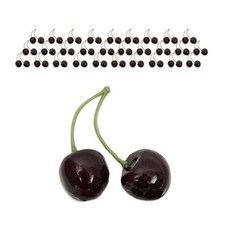 DAEHAN 拍攝專用水果道具組 30入, 015號黑櫻桃 2顆