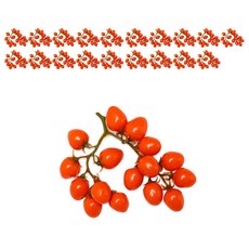 DAEHAN 攝影用食物模型道具 20入, 009 櫻桃番茄