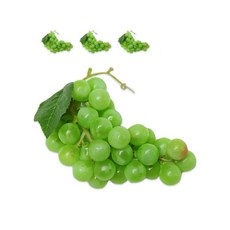 DAEHAN 商城 水果 食物 食品 模型 概念拍攝 室內裝飾 道具 4入, 葡萄綠色