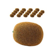 DAEHAN 拍攝專用水果道具組 20入, 027號奇異果