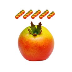 DAEHAN 拍攝專用水果道具組 20入, 032號石榴