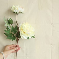 牡丹花室內裝飾人造花 2入, 象牙白