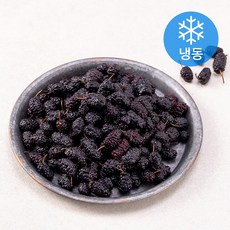 순창 구림농협 국내산 오디, 1kg, 2개