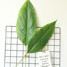 紅寶石可可人造花棕櫚葉小, 單色, 3個