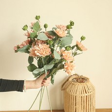 루비코코 조화 국화 2p, 피치