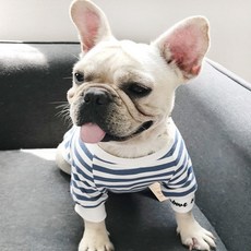 香蕉寵物情侶T恤, 藍色