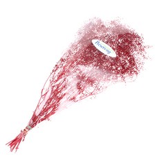 永生滿天星, 珍珠紅