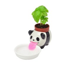 페로폰 동물화분 + 바질 키우기 팬더