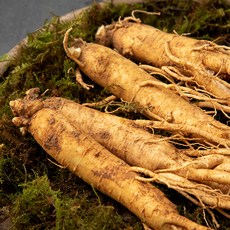 5년근 고창 큰인삼, 750g, 1개