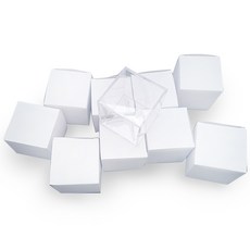 乒乓球收藏盒 PRO-Z-GT010 10入, 透明度