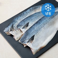 안동간고등어 필렛 120g x 10개 (냉동), 1.2kg, 1개