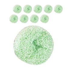 디지티 아크릴 볼 수세미 6cm 그린, 10개, 1개입