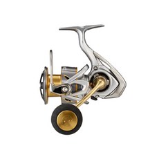 DAIWA 大和 21 FREAMS, 混合色, LT 5000-CXH