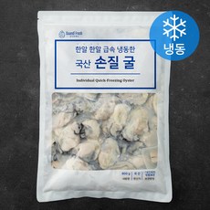 단디프레시 한알한알 급속 냉동한 국산 손질 굴 (냉동), 800g, 1개
