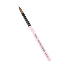 DIAMI 壓克力筆刷 8號, 單色, 1個