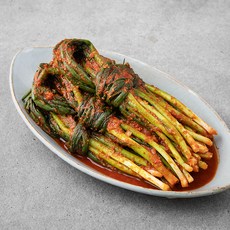 팽현숙 최양락의 맛있는 옛날 파김치, 1kg, 1봉