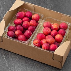 가족 GAP 인증 의성 대석자두, 3kg, 1박스