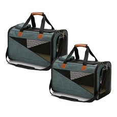 몬드스팟 고급스러운 통기성 반려동물 이동 가방 2p YT_RB287, 그린
