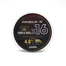 SAPA Triple Axel 16 編織線一根線釣魚線 300m, 黑色的