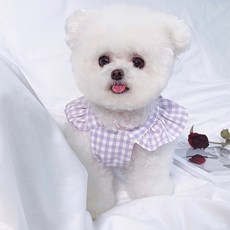 petitdog 寵物犬用格紋連衣裙 DSO063, 紫色的