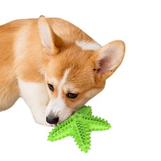 狗狗玩具, 海星3(綠色), 1個