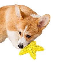 狗狗玩具, 海星2(黃色), 1個