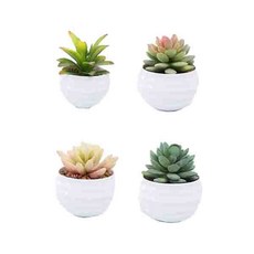 多肉植物假花花盆 4種組, 混色, 1套