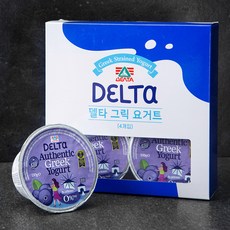 델타푸드 무지방 그릭요거트 블루베리 4개입, 600g, 1개
