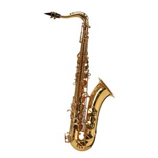 자일러 색소폰, 골드, SE-70T, 1개