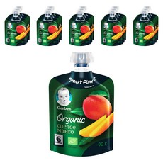 거버 이유식 오가닉 파우치 90g, 망고, 16개