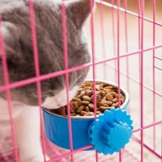 홈앤탑스 반려묘 반려견 스테인리스 사료 그릇 304 M, 블루, 1개