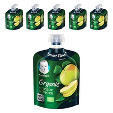 거버 이유식 오가닉 파우치 90g, 사과, 16개