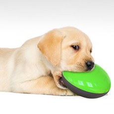 디지티 강아지 통통 원반형 장난감 겸 급식기, 그린, 1개