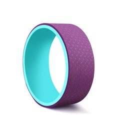 雙把手瑜珈輪, 薄荷+紫色
