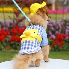 小狗小雞幼稚園服裝 + 帽子套組, 01