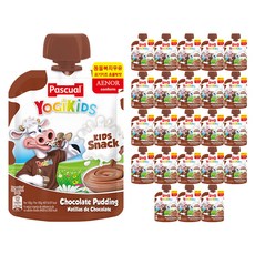 파스쿠알 요기키즈 우유 초콜렛맛 80g, 24개