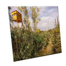 HTP 瓷磚 C1889, 寶格麗綠色風景, 1個