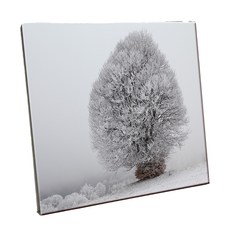 HTP瓷磚 C1857, Qstendil 的白雪覆蓋的樹, 1個